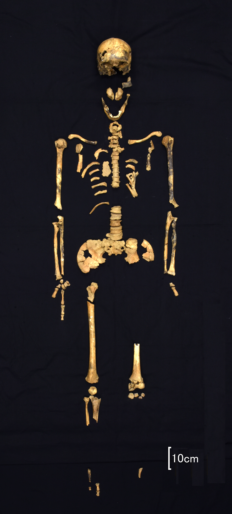 Japan's oldest partial human skeleton found in Okinawa