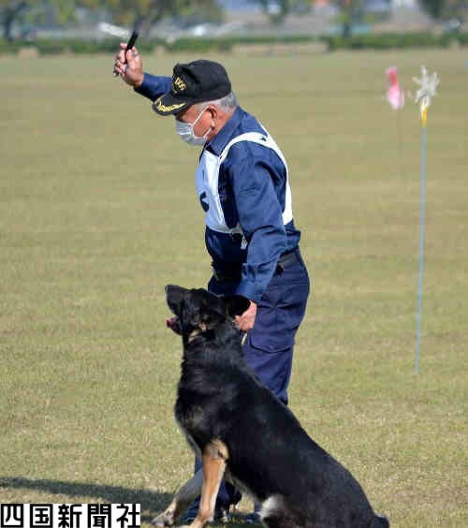 Police dog best sale trainer school