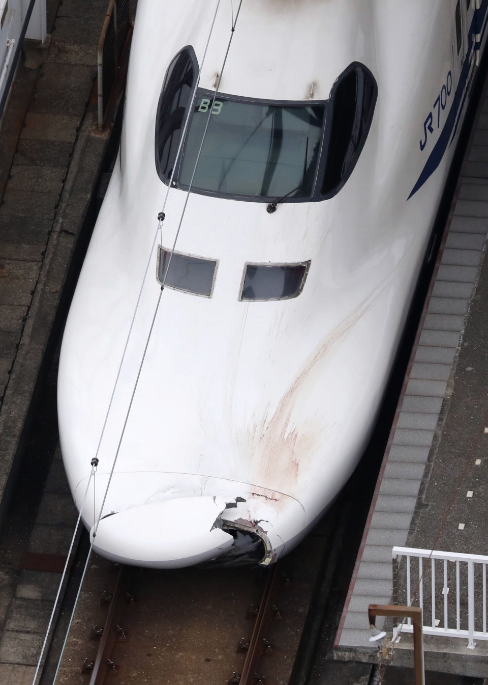 Shinkansen bullet train kills intruder pic