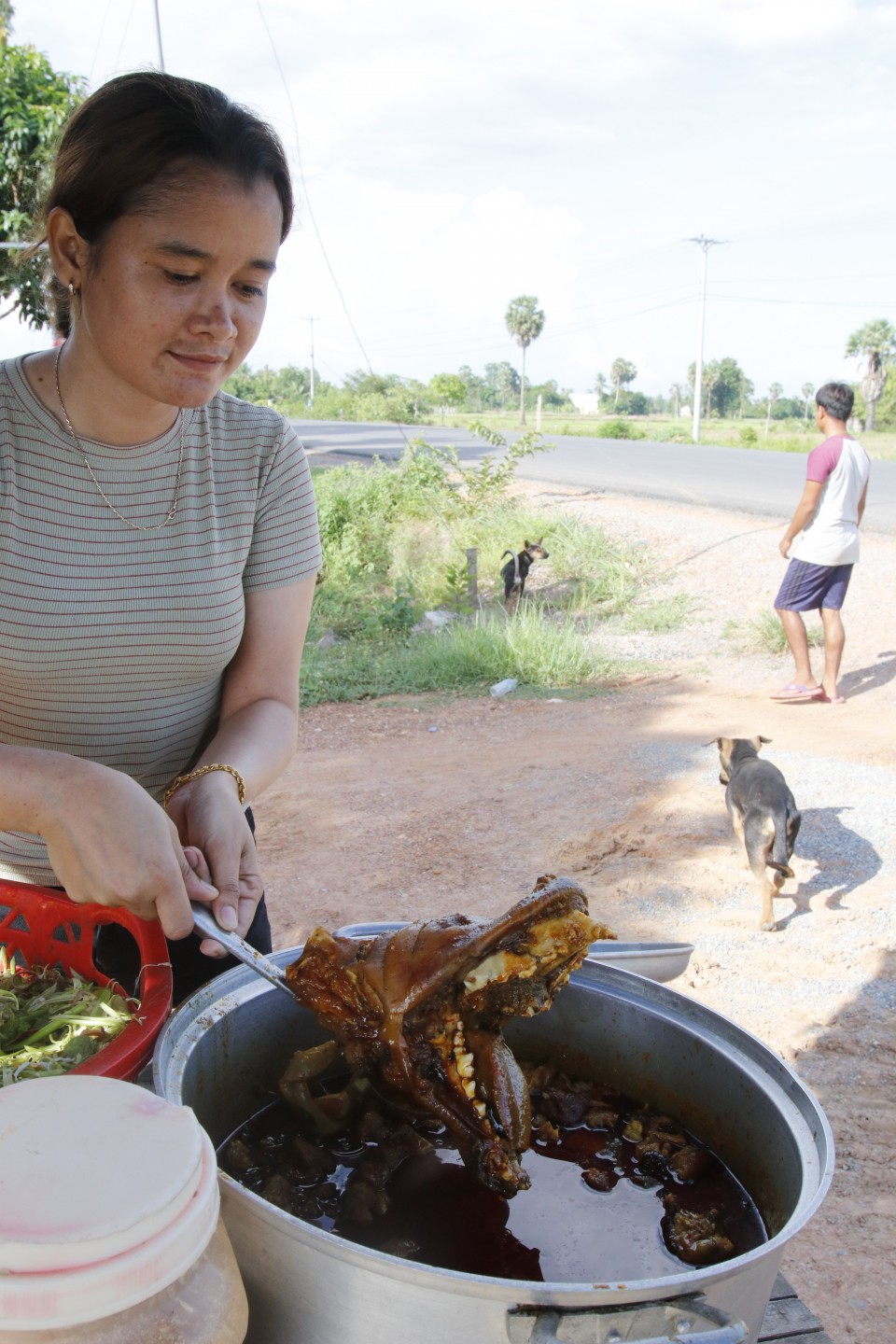 can you get rabies from dog meat