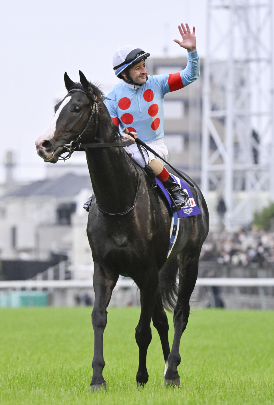 Horse racing World's toprated thoroughbred Equinox to retire