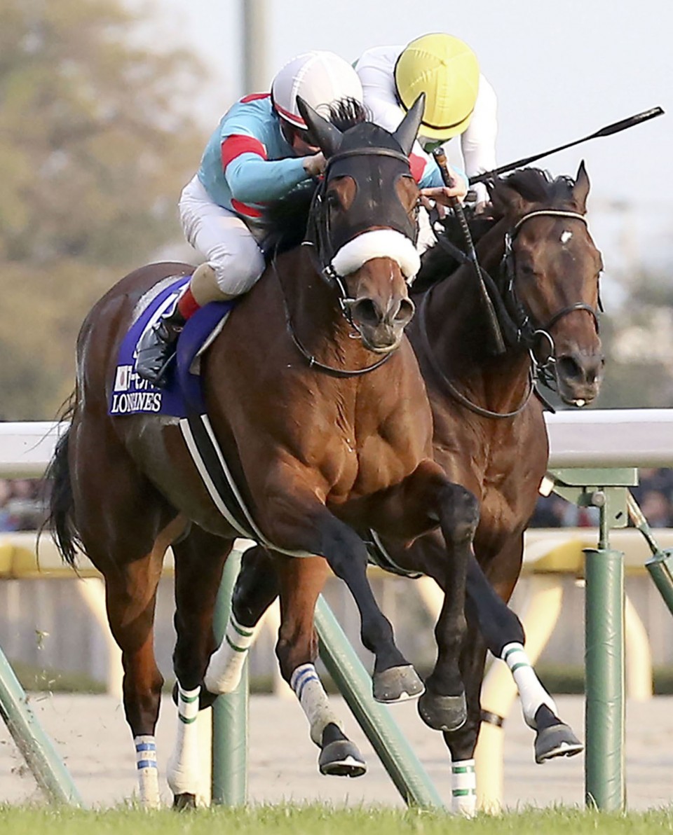 Horse racing Almond Eye wins Japan Cup for 4th G1 victory