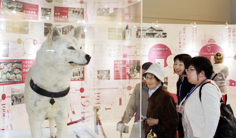 stuffed hachiko