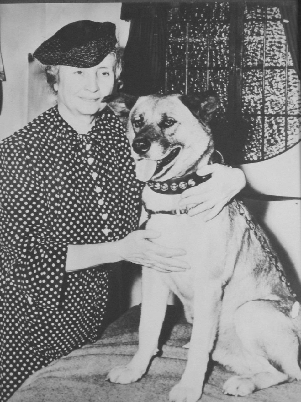 helen keller akita