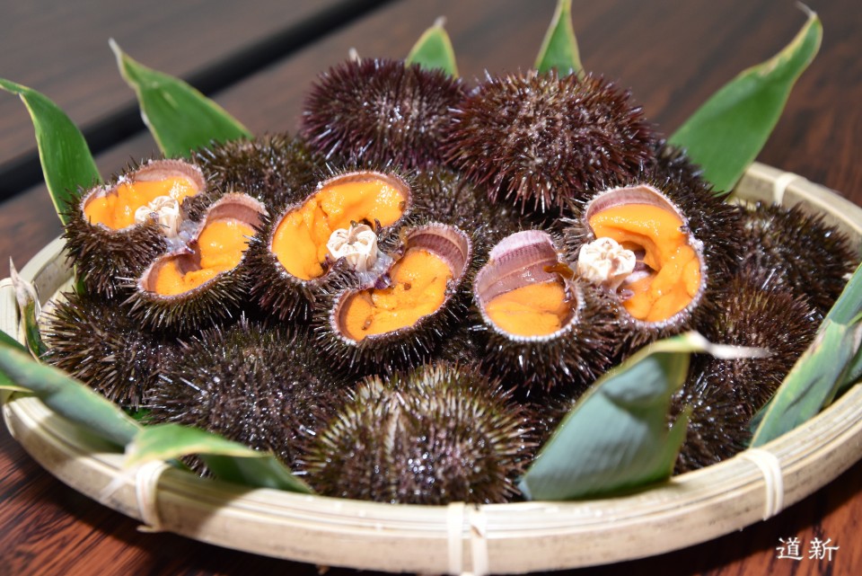 Delicacies of Hokkaido: Feast on Fresh Uni in the Costal Town of