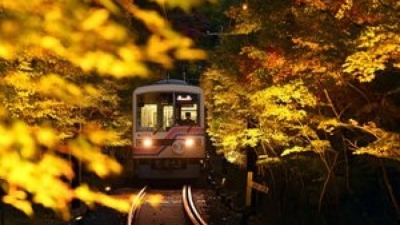 "Maple-leaf tunnel" light-up event under way in Kyoto