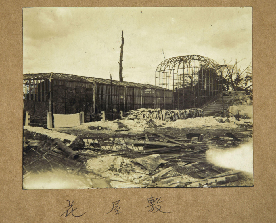 Rare artwork found showing elephant rescue in 1923 Kanto quake chaos