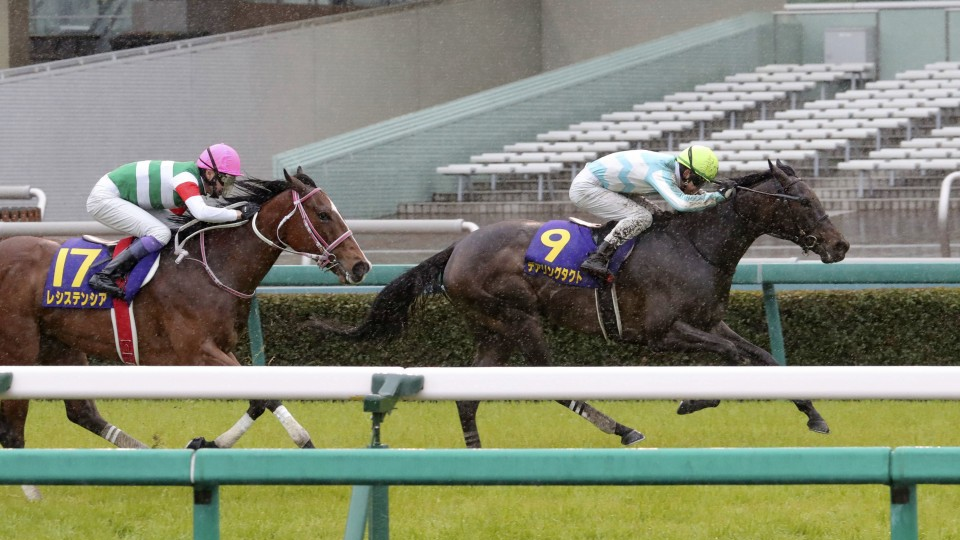 Horse racing Japanese Derby to be held behind closed doors