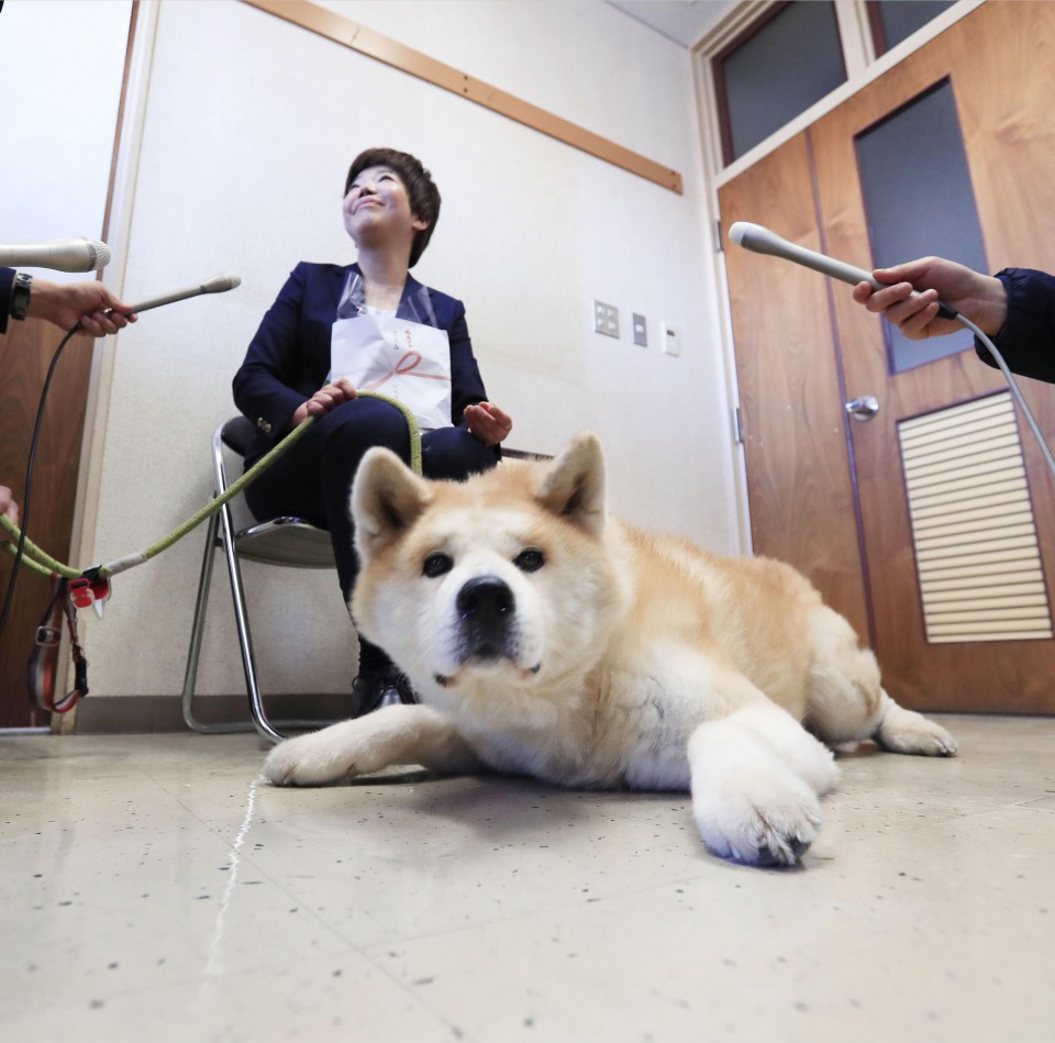 Japanese 2024 police dog