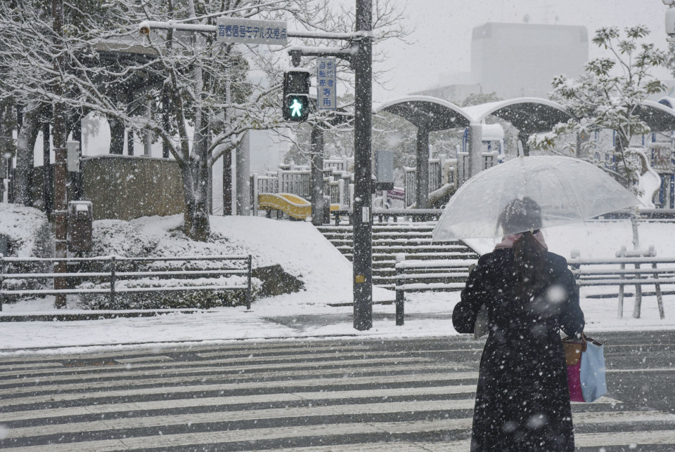 Record heavy snow disrupts Tokyo transit, including flights 