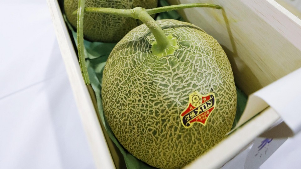 Hokkaido melons fetch record 3.2 million yen at season's 1st auction