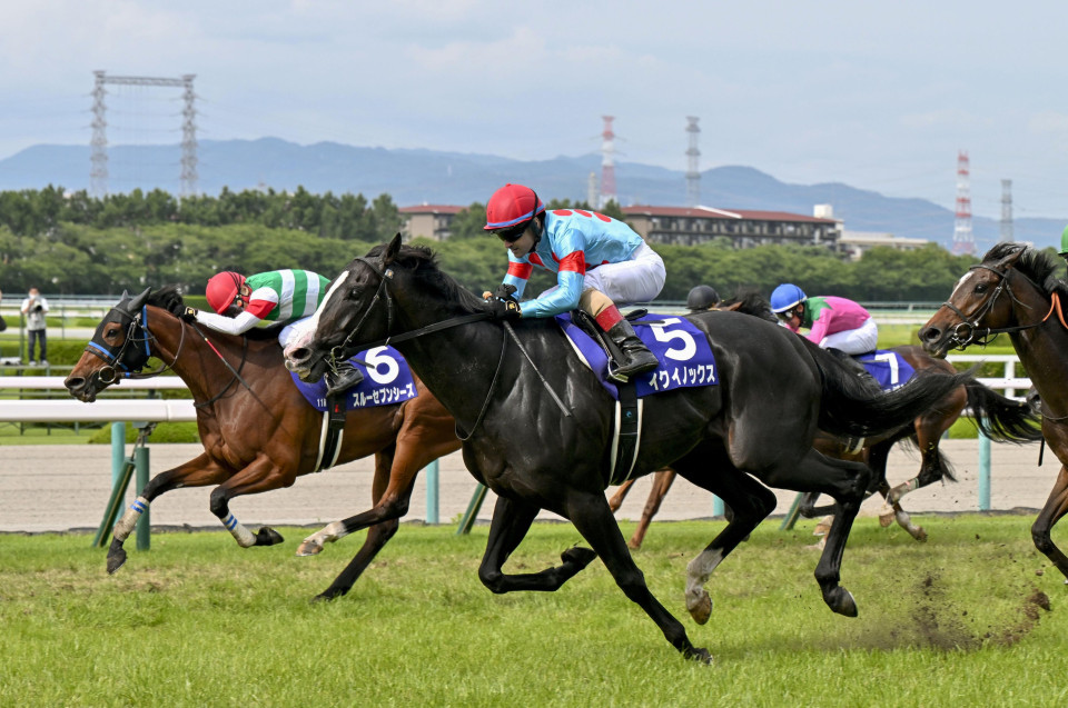 Horse racing Equinox justifies world No. 1 tag at Takarazuka Kinen