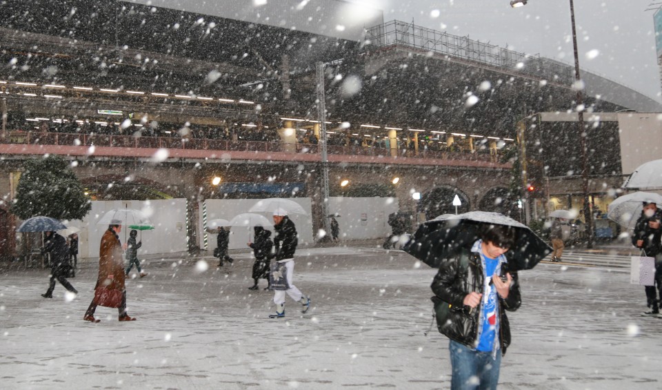 Snow falls in Tokyo, traffic disruption expected through January 23
