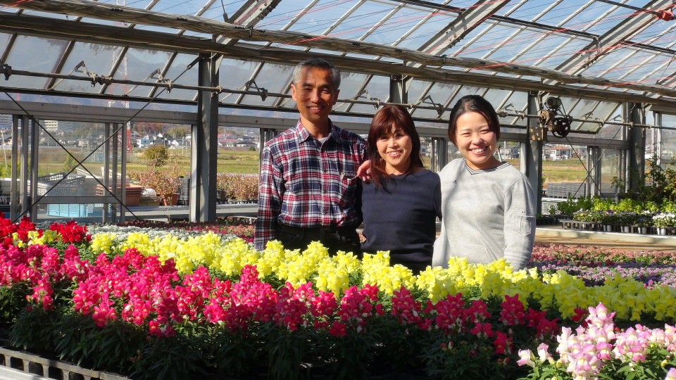 Family Run Edible Flower Farm Adds Color To The Culinary Arts In Japan