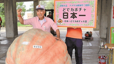 Kagawa hosts Japan pumpkin weigh-off, 427kg whopper wins title