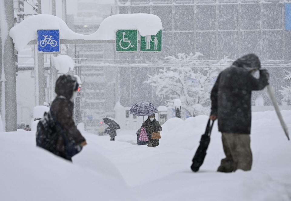 Snowstorm in Tokyo disrupts road, rail and air transport