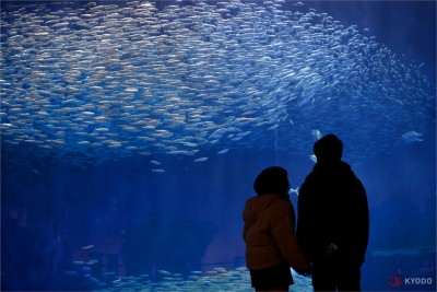 Japan and beyond: Week in Photos - February 20~26